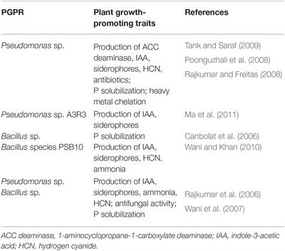 Plant Growth-Promoting Rhizobacteria for Cannabis Production: Yield, Cannabinoid Profile and Disease Resistance